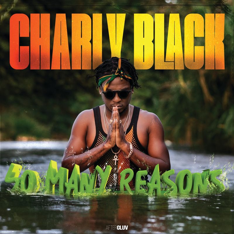 Charly Black - So Many Reasons.mp3